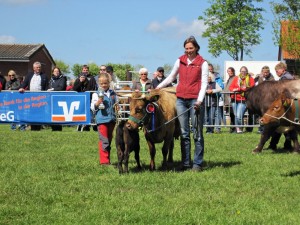 Dexter Kuh Livia Dun mit Franzi, Siegerkuh in Viöl 2015 mit Jungzüchterin Martha Reulecke